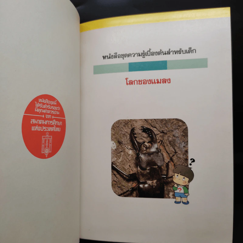 หนังสือชุดความรู้เบื้องต้นสำหรับเด็ก โลกของแมลง รูปที่ 5
