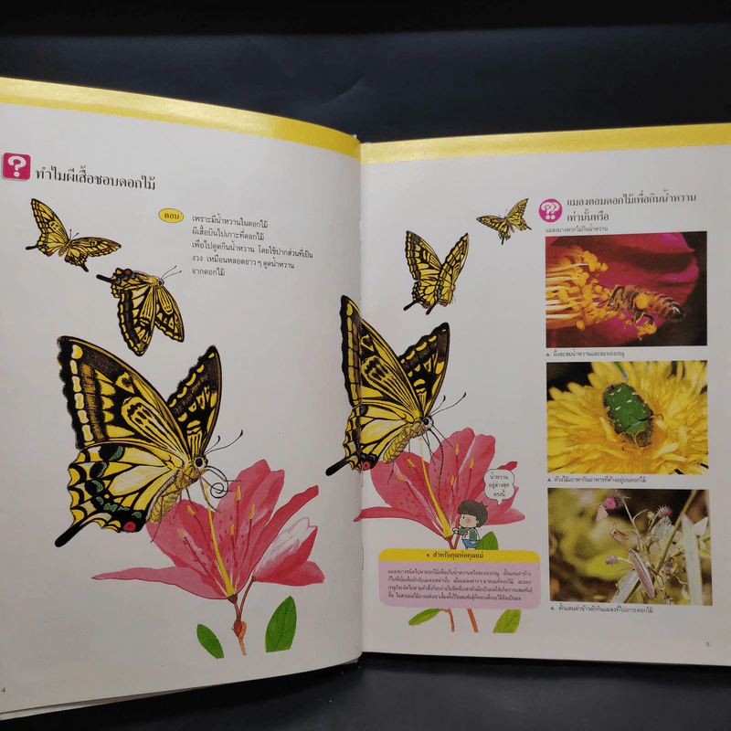 หนังสือชุดความรู้เบื้องต้นสำหรับเด็ก โลกของแมลง รูปที่ 7