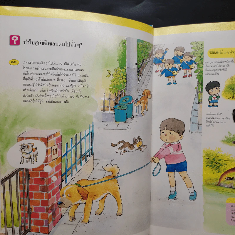 หนังสือชุดความรู้เบื้องต้นสำหรับเด็ก สัตว์ผู้เป็นเพื่อน รูปที่ 7