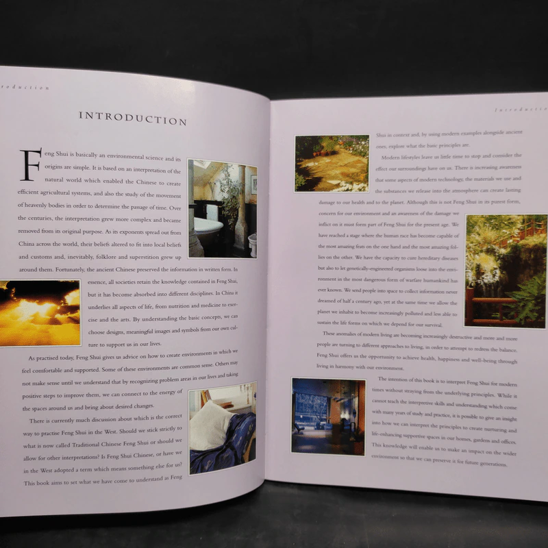 The Practical Guide to Feng Shui รูปที่ 6