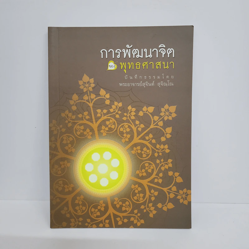 การพัฒนาจิตของพุทธศาสนา - พระอาจารย์สุจินต์ สุจิณโณ รูปที่ 1