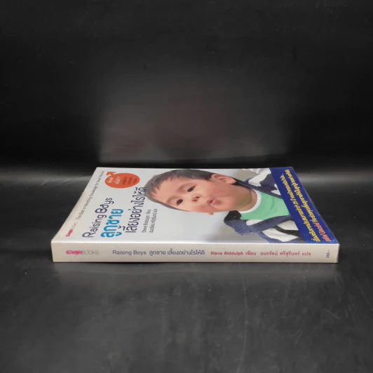 Raising Boys ลูกชายเลี้ยงอย่างไรให้ดี - Steve Biddulph รูปที่ 3