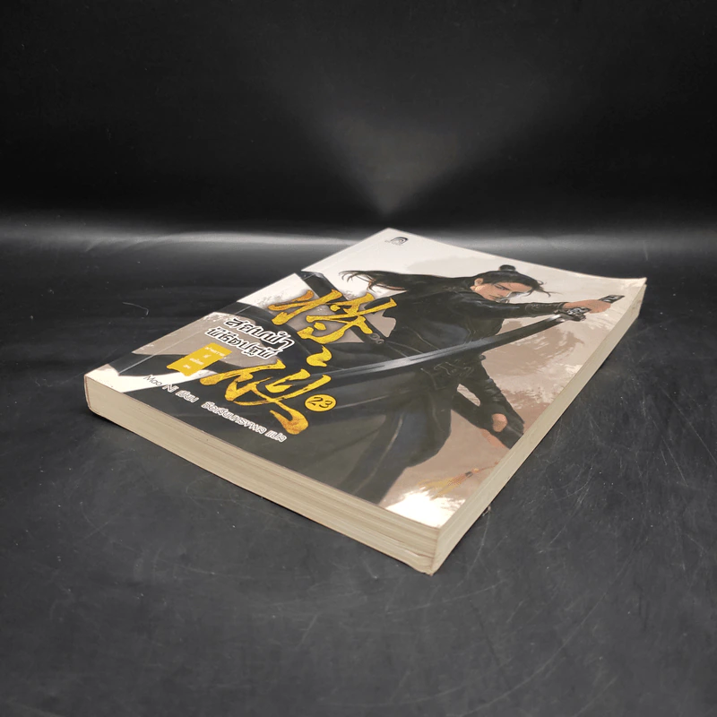 สยบฟ้าพิชิตปฐพี เล่ม 23 รูปที่ 4