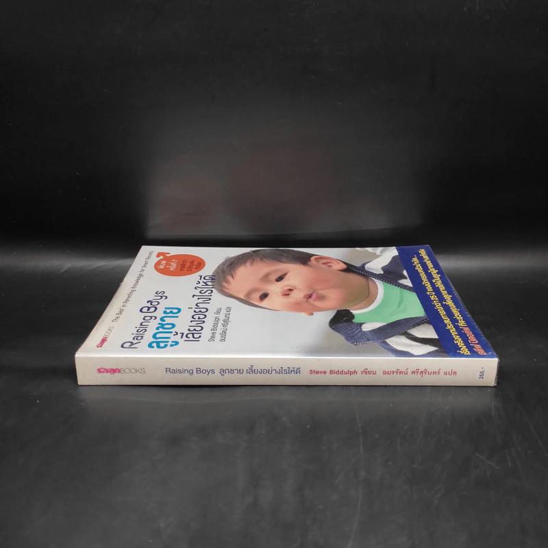 Raising Boys ลูกชายเลี้ยงอย่างไรให้ดี - Steve Biddulph รูปที่ 3