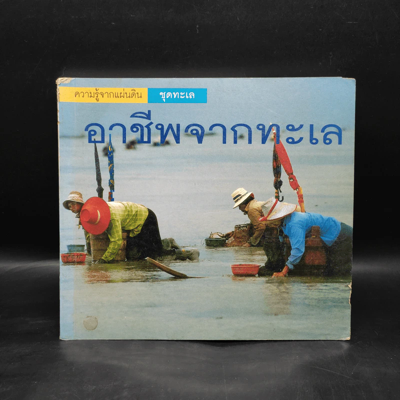 ความรู้จากแผ่นดิน ชุดทะเล อาชีพจากทะเล รูปที่ 1