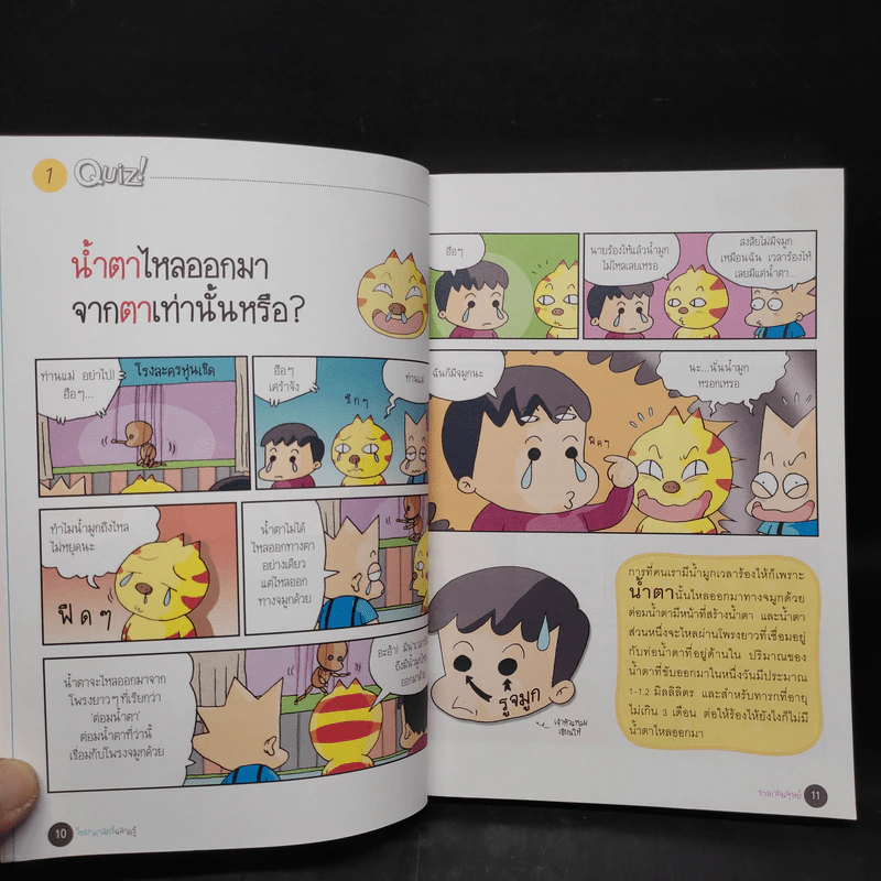 วิทยาศาสตร์ฉลาดรู้ เรื่อง ร่างกายมนุษย์ รูปที่ 8