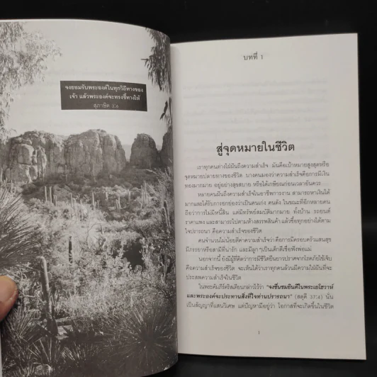 พลังแห่งชีวิต - มูลนิธิ อาร์เธอร์ เอส เดอมอส รูปที่ 6