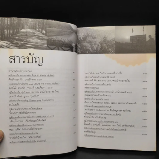 คนโยนฟืน - ธีรภาพ โลหิตกุล รูปที่ 6