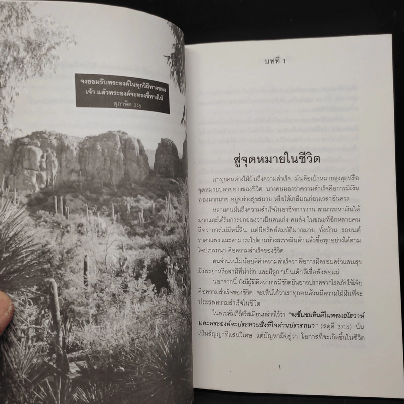 พลังแห่งชีวิต - มูลนิธิ อาร์เธอร์ เอส เดอมอส รูปที่ 7