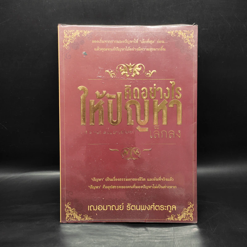 คิดอย่างไรให้ปัญหาเล็กลง - เกรซ เฌอมาณย์ รัตนพงศ์ตระกูล รูปที่ 1