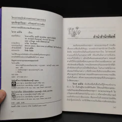 พระอารมณ์ขันของสมเด็จพระเทพฯ - วิลาศ มณีวัต รูปที่ 5