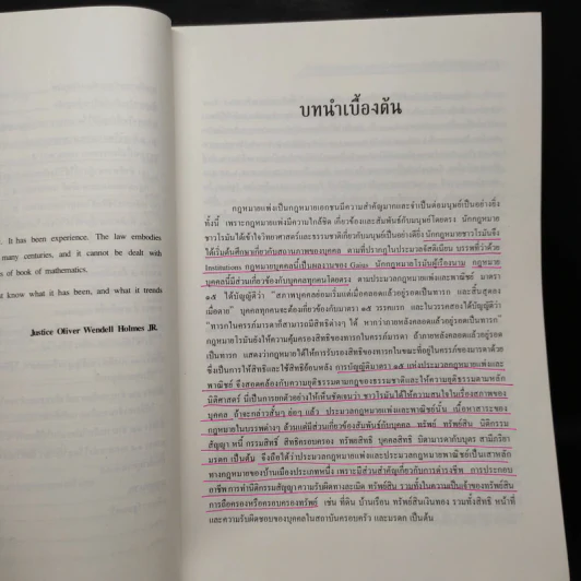 กฎหมายแพ่ง : หลักทั่วไป คำอธิบายประมวลกฎหมายแพ่งและพาณิชย์ มนตรา 4-14 รูปที่ 8