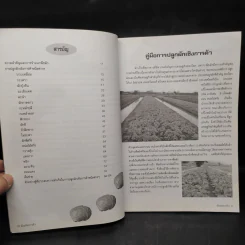 คู่มือการปลูกผักเชิงการค้าให้รวย รูปที่ 6