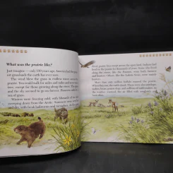If You Were a Pioneer on the Prairie - Anne Kamma รูปที่ 7