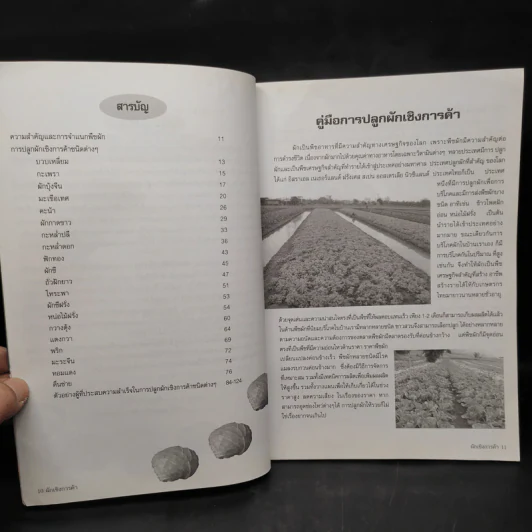คู่มือการปลูกผักเชิงการค้าให้รวย รูปที่ 6
