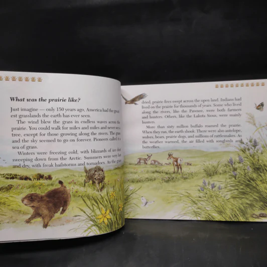 If You Were a Pioneer on the Prairie - Anne Kamma รูปที่ 7