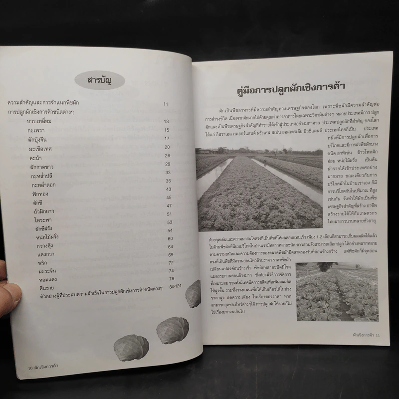 คู่มือการปลูกผักเชิงการค้าให้รวย รูปที่ 6