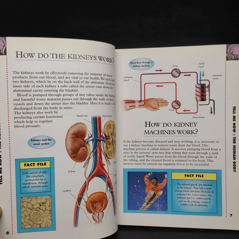 Tell Me How?: Answers to Hundreds of Questions รูปที่ 6