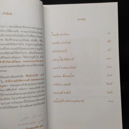 ชีวิตรักเจ้าฟ้า - ลดา รุธิรกนก รูปที่ 6