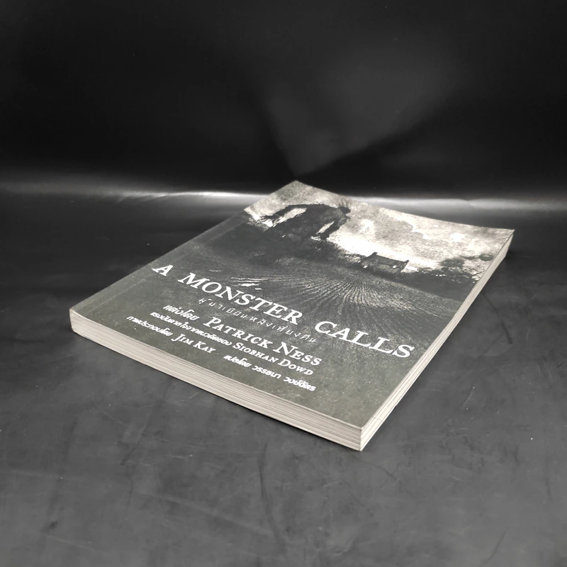 ผู้มาเยือนหลังเที่ยงคืน (A Monster Calls) - แพทริก เนส (Patrick Ness) รูปที่ 4