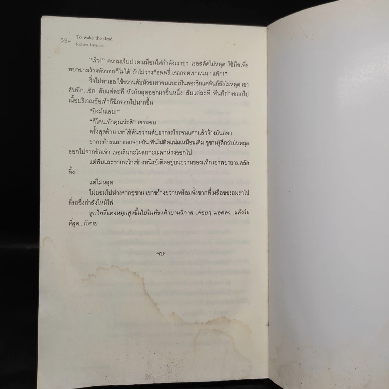 คืนชีพมัมมี่กระตุกขวัญ To Wake the Dead - Richard Laymon รูปที่ 7