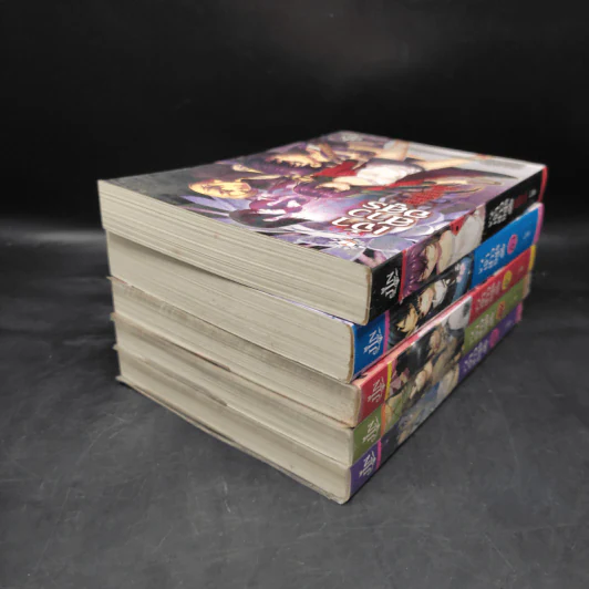 เจ้าสาวอสูร เล่ม 1-4 + เด็กสาวผู้เป็นจุดจบและจุดเริ่มต้น- ริสะ (LISA) รูปที่ 4