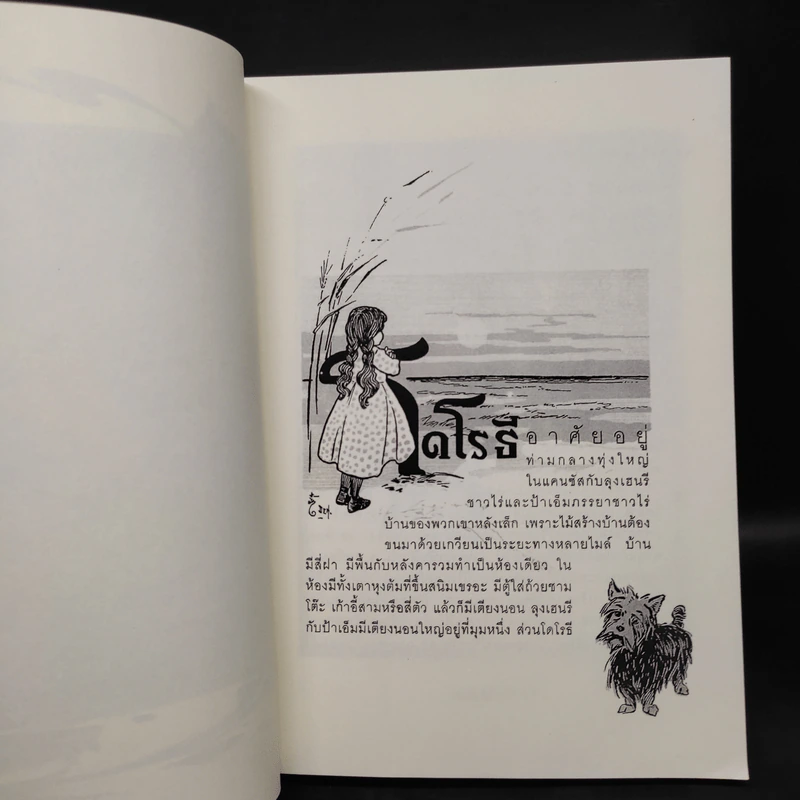 พ่อมดมหัศจรรย์แห่งออซ The Wonderful Wizard of OZ รูปที่ 7
