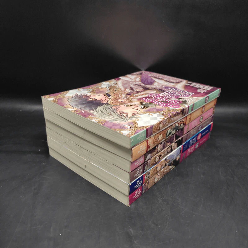 เจ้าหญิงจอมฟลุกกับอัศวินโต๊ะกลม เล่ม 1-6 รูปที่ 4