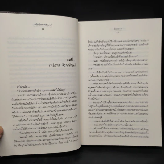 เพลิงรักรานบุปผา - ฉัตรฉาย รูปที่ 6