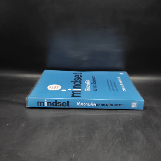 Mindset ใช้ความคิดเอาชนะโชคชะตา - Carol S.Dweck รูปที่ 3
