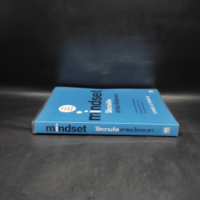 Mindset ใช้ความคิดเอาชนะโชคชะตา - Carol S.Dweck รูปที่ 3