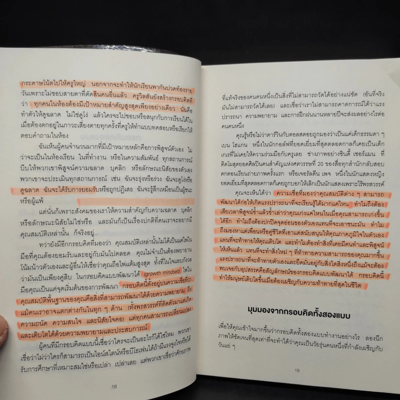 Mindset ใช้ความคิดเอาชนะโชคชะตา - Carol S.Dweck รูปที่ 9