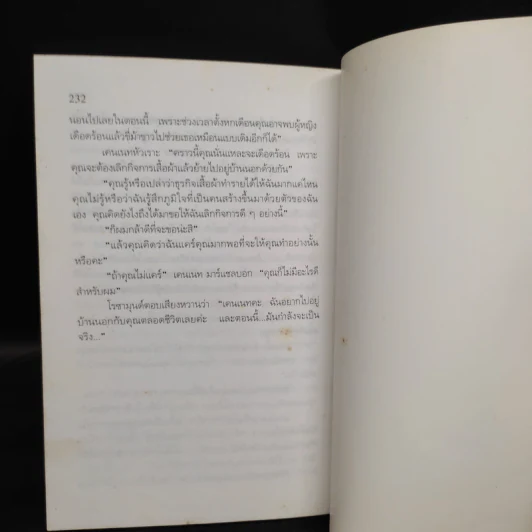 ภาพลวงตา - อกาทา คริสตี้ รูปที่ 7