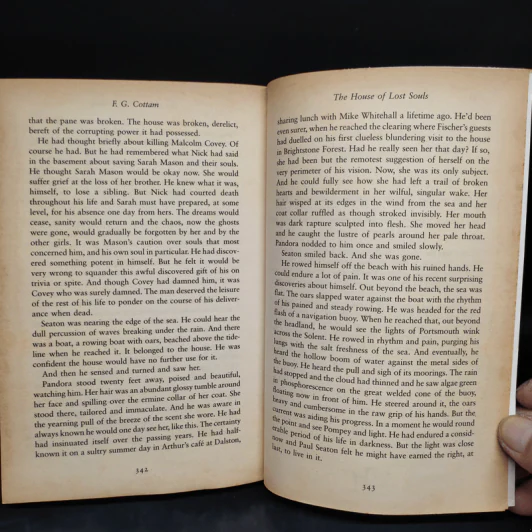 The House of Lost Souls - F.G.Cottam รูปที่ 8