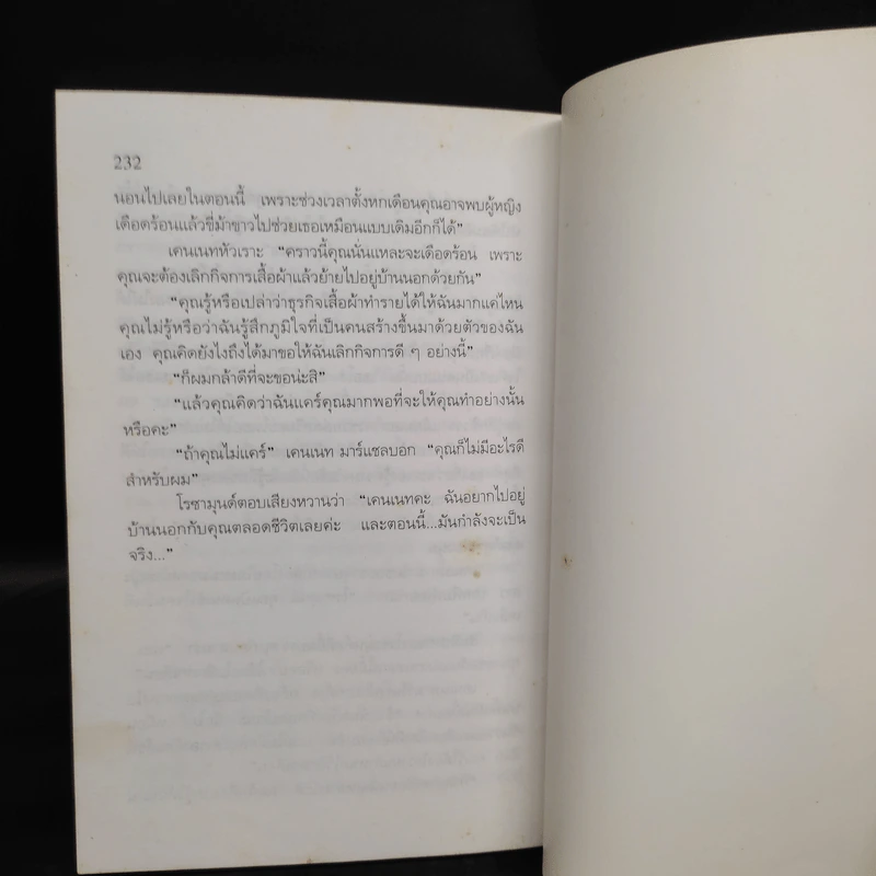 ภาพลวงตา - อกาทา คริสตี้ รูปที่ 7