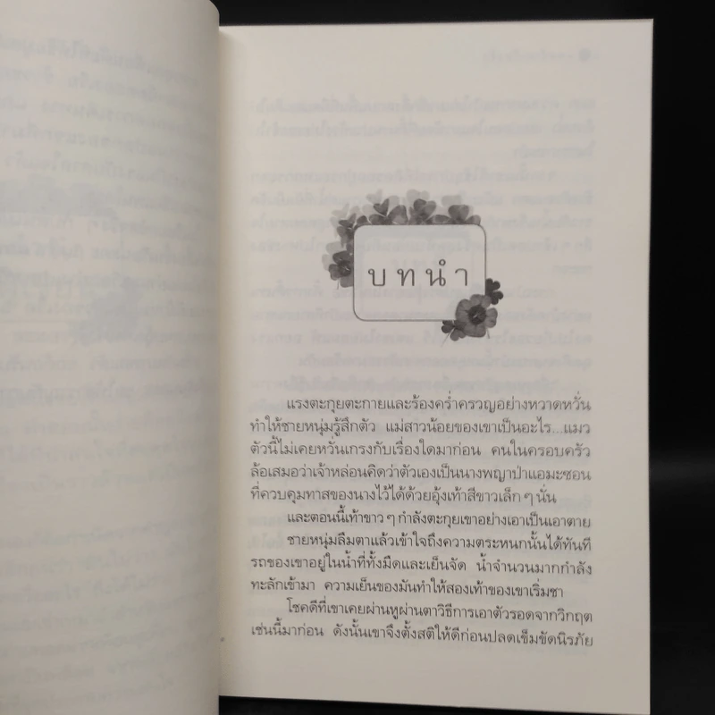 แผนร้ายเกี่ยวรัก - กิ่งฉัตร รูปที่ 6