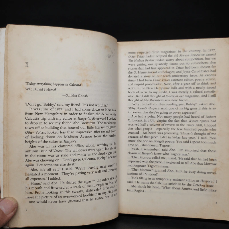 Song of Kali - Dan Simmons รูปที่ 6