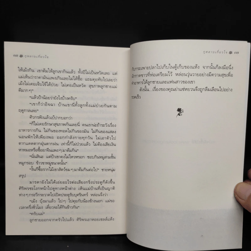 กุหลาบเกี่ยวใจ - กิ่งฉัตร รูปที่ 7