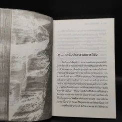 เมื่อพระพุทธเจ้าหลวงนิยมไพร - ชาลี เอี่ยมกระสินธุ์ รูปที่ 7