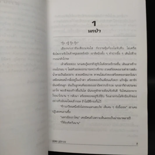 สร้อยทอง - นิมิตร ภูมิถาวร รูปที่ 6