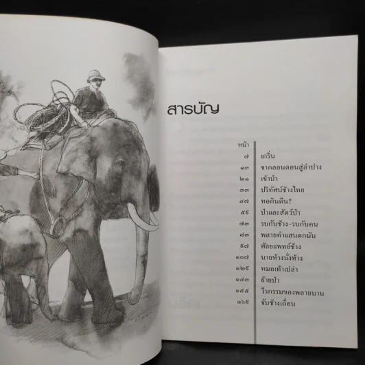 นายห้างป่าไม้ - ทัศน์ทรง ชมภูมิ่ง รูปที่ 6