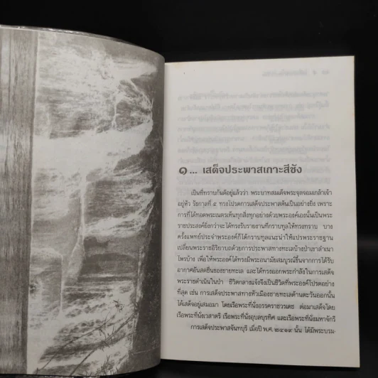 เมื่อพระพุทธเจ้าหลวงนิยมไพร - ชาลี เอี่ยมกระสินธุ์ รูปที่ 7