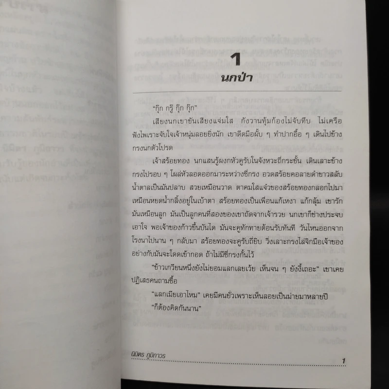 สร้อยทอง - นิมิตร ภูมิถาวร รูปที่ 6