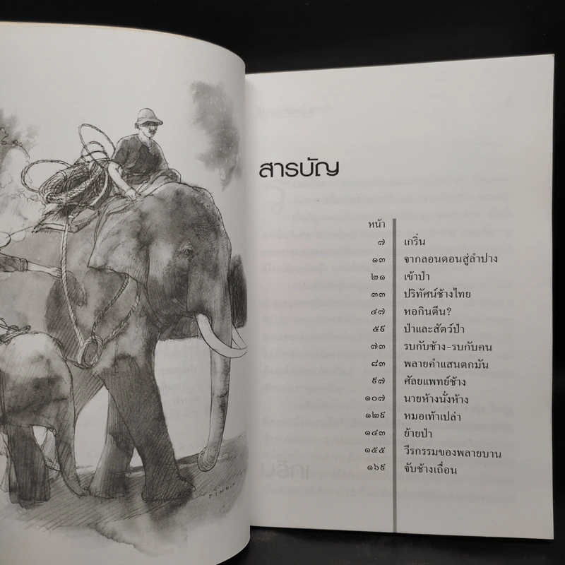 นายห้างป่าไม้ - ทัศน์ทรง ชมภูมิ่ง รูปที่ 6