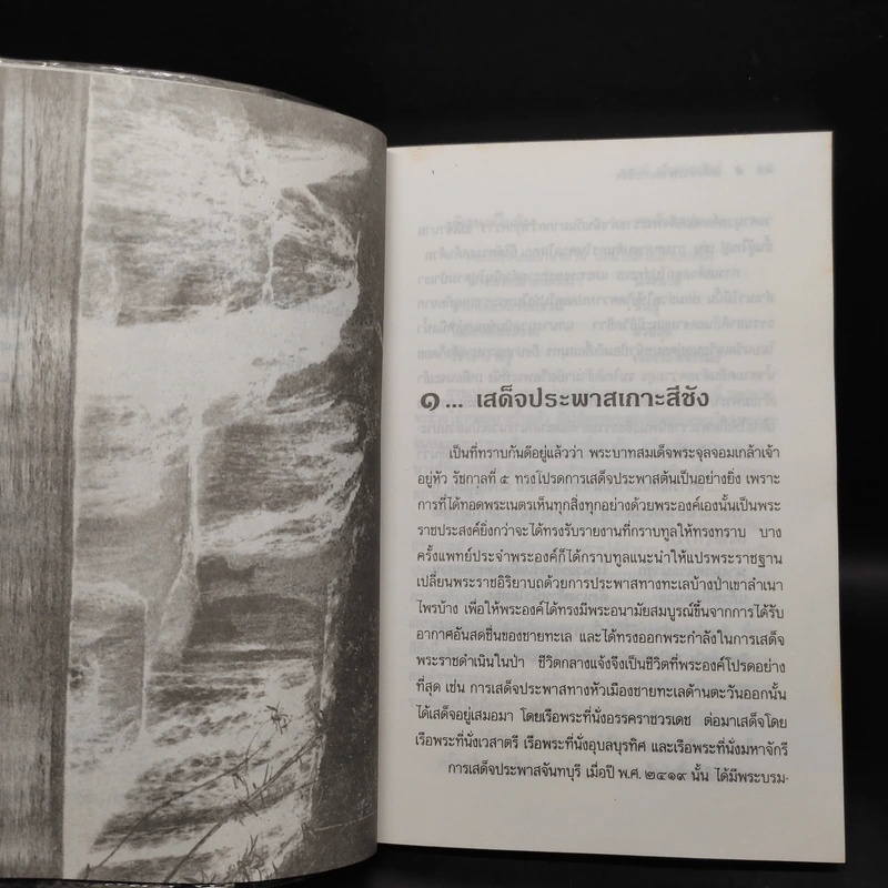 เมื่อพระพุทธเจ้าหลวงนิยมไพร - ชาลี เอี่ยมกระสินธุ์ รูปที่ 7