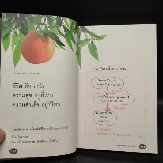 Life Box ไลฟ์บ็อกซ์ กล่องบุญ 4 - ภัทริน ชอโสตถิกุล รูปที่ 6