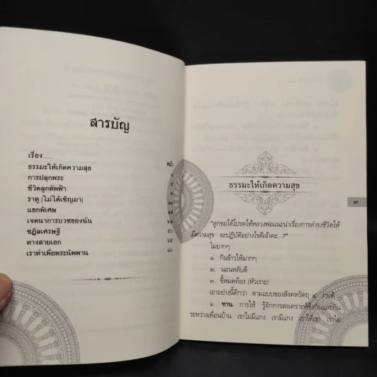 ธรรมปฏิบัติ 35 - พระราชพรหมยาน (พระมหาวีระ ถาวโร) วัดท่าซุง รูปที่ 6