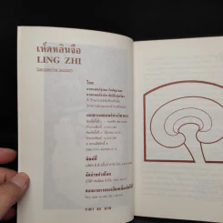 เห็ดหลินจือ Ling Zhi -  นายแพทย์สุรพล รักปทุม, นายแพทย์ชวลิต สันติกิจรุ่งเรือง รูปที่ 5