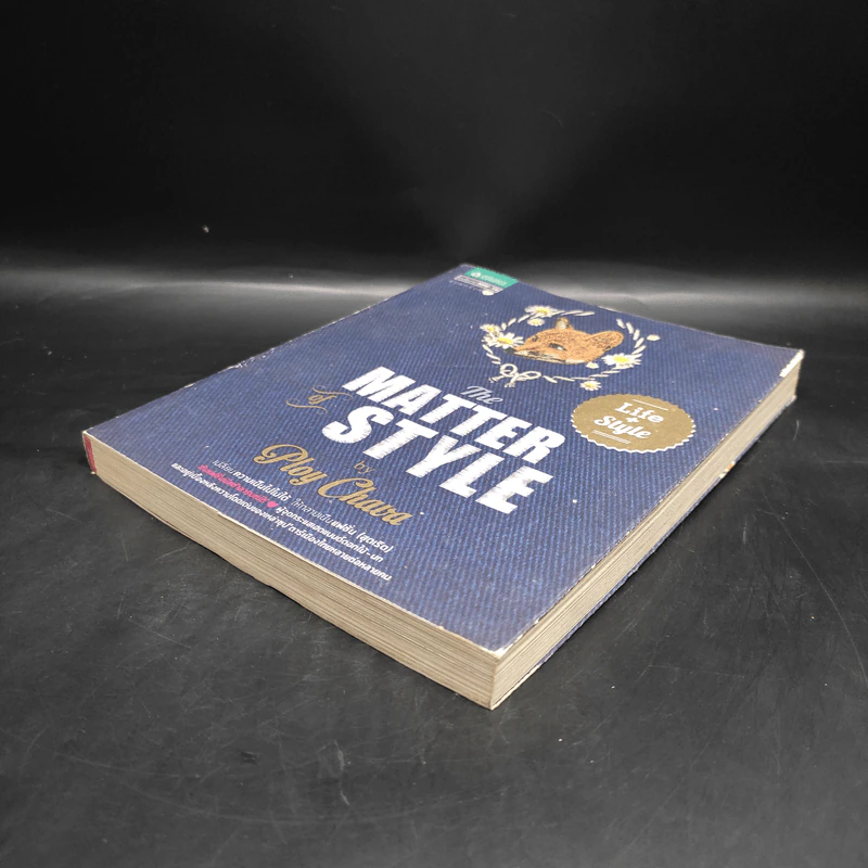 The Matter of Style - Ploy Chava รูปที่ 4