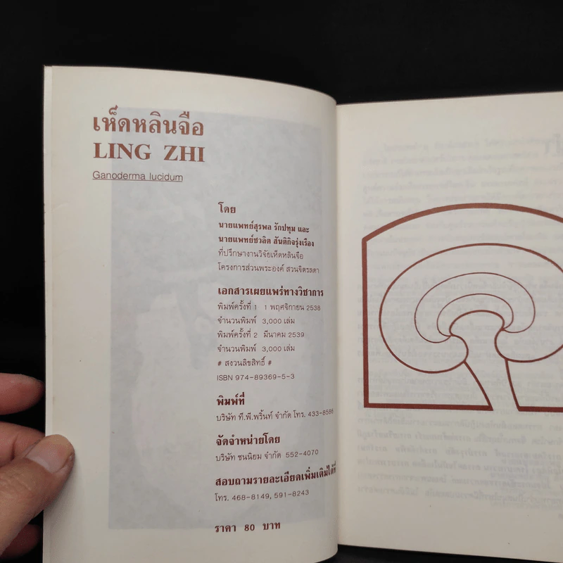 เห็ดหลินจือ Ling Zhi -  นายแพทย์สุรพล รักปทุม, นายแพทย์ชวลิต สันติกิจรุ่งเรือง รูปที่ 5